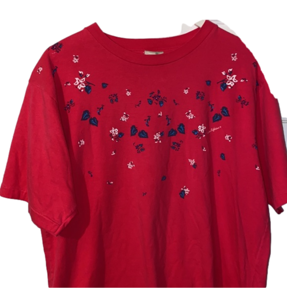 3/$30 Vintage northern Reflections Shirt